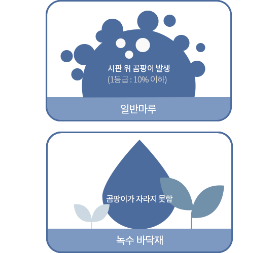 일반마루 곰팡이 번식 ,녹수 LVS+ 곰팡이 번식 방지